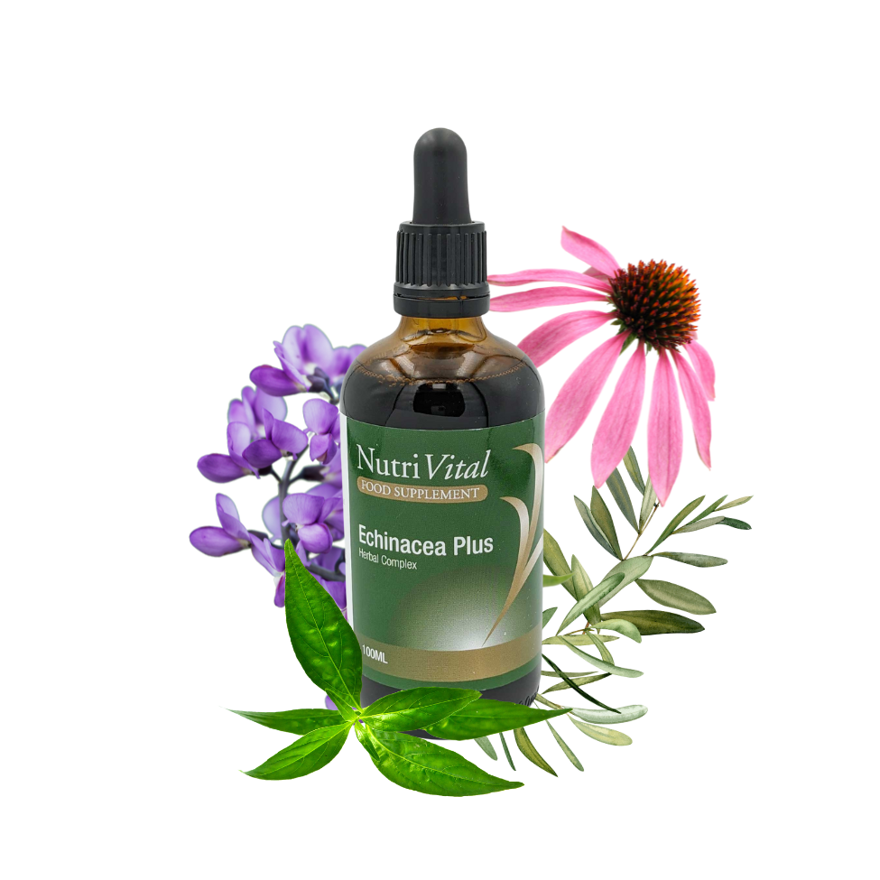 Echinacea Plus - 100ml